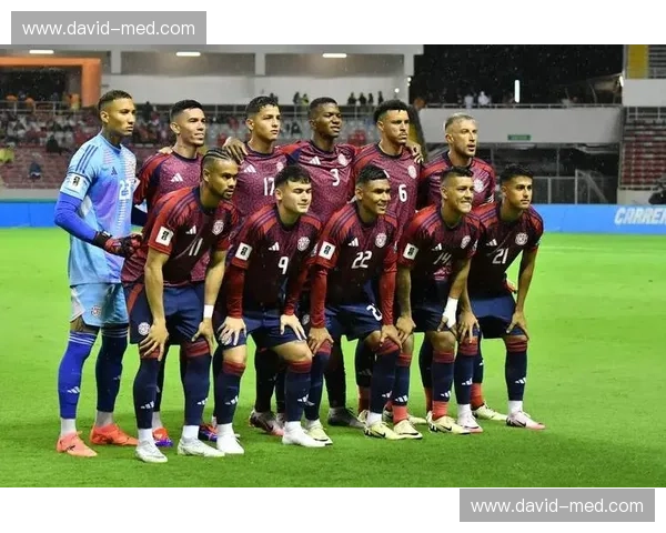 2014年世界杯预选赛回顾:各大洲激烈角逐与历史性时刻